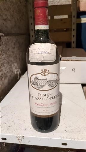 Bordeaux Moulis-en-Médoc Château Chasse-Spleen 1996