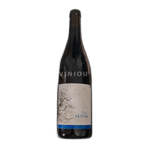 Vin Blanc sec Vin d'antoine Michon et fils 2021 France Poitou-Charentes biodynamie