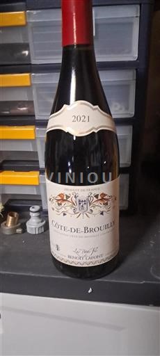 Beaujolais Côte-de-brouilly Benoit Lafont Les Petits Fils 2021