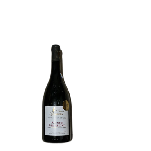 Loire Valley Saumur-Champigny Domaine Des Hauts de Sanzieres des Dames 2019
