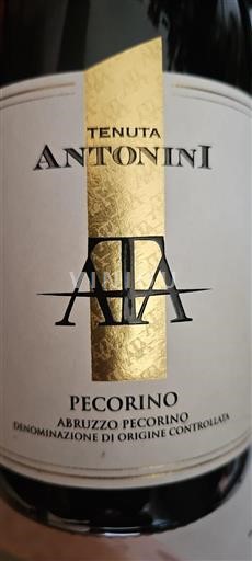 Abruzzo Not Specified Tenuta Antonini 2022