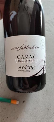 Alps and Rhone Valley Ardèche Cave de Lablachère Trias Cévenol 2024