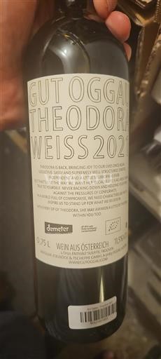 Burgenland Non specificato Gut Oggau Theodora Weiss 2021