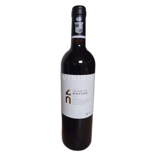 Vin Rouge sec Antton 2020 France Bordeaux