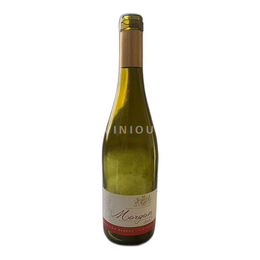 Vin Rouge sec Jean-Claude Théodore 2023 France Beaujolais Morgon