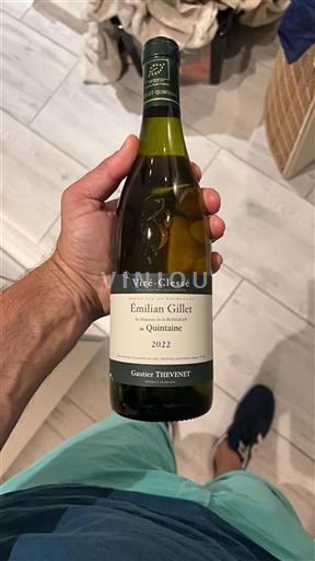 Burgundy Viré-clessé Domaine La Bongran Émilian Gillet 2022