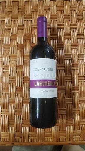 Maipo Valley Maipo Central Lastarria 2020