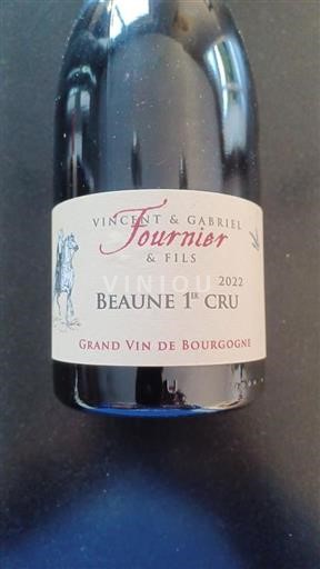 Bourgogne Beaune Premier Cru Vincent & Gabriel Fournier 2022