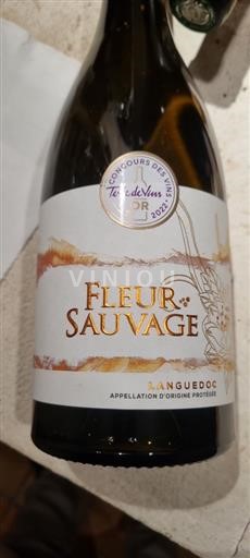 Languedoc og Roussillon Hérault Cave Sommièrois Fleur sauvage 2023