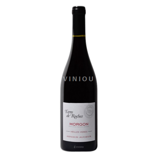 Beaujolais Morgon Arnaud Aucœur 2020
