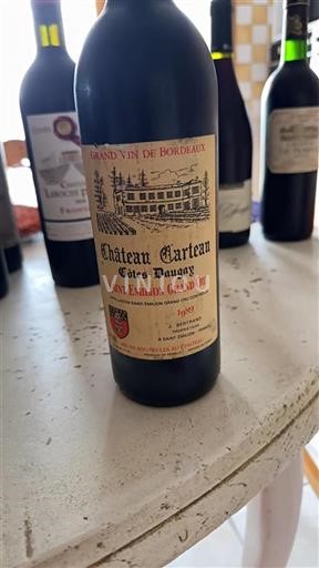 Bordeaux Saint-Émilion Grand Cru Grand Cru Carteau C%c3%b4tes Daugay 1989