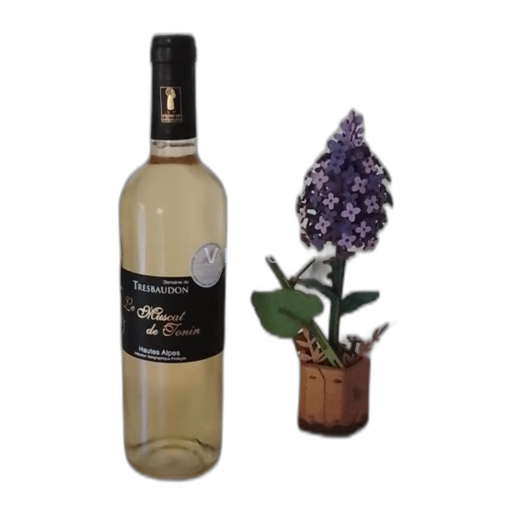 Provenza, bassa valle del Rodano, Corsica Hautes-Alpes Domaine Tresbaudon Le Muscat de Tonin Senza annata
