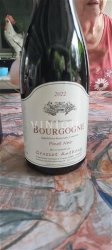 Vin Rouge sec Pinot Noir Grossot Anthony 2022 France Bourgogne AOC