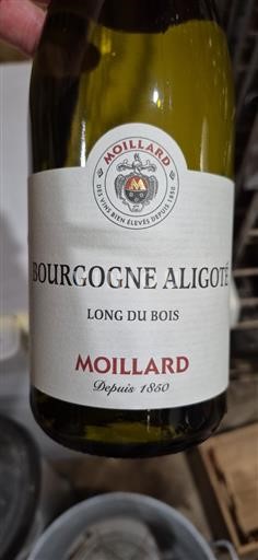 Borgogna Borgogna Aligoté Moillard Long du Bois 2024