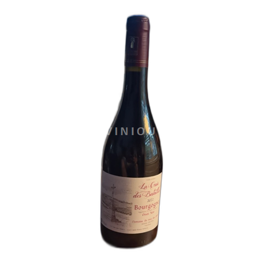 Burgund Domaine Mas des Tines Pinot Noir 2022