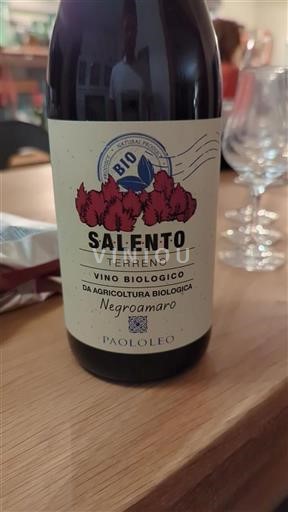 Apulia Wines Alezio Paololeo Terreno 2021
