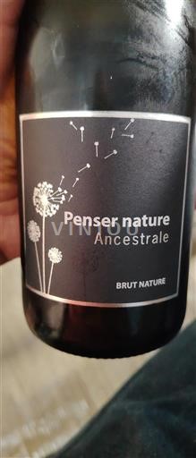 Vin Effervescent Blanc sec Ancestrale Penser nature Non millésimé France Vallée de la Loire