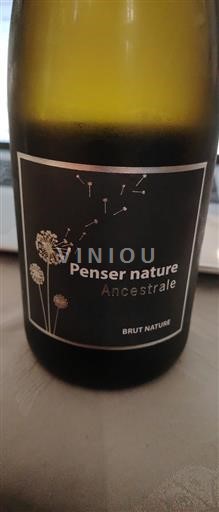 Vin Effervescent Blanc brut Penser Nature Ancestrale David-Lecomte Non millésimé France Vallée de la Loire bio