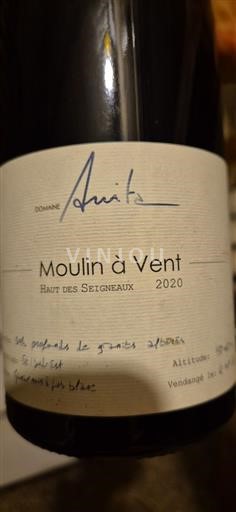 Vin Rouge sec Haut des Seigneaux Domaine Anita 2020 France Beaujolais Moulin-à-vent