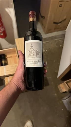 Bordeaux Saint-Estèphe Pagodes de Cos 2018