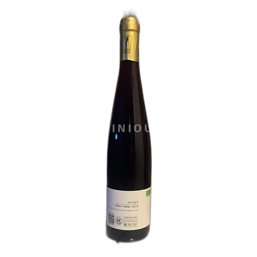 Alsazia Pinot nero Mochel-Lorentz 2023