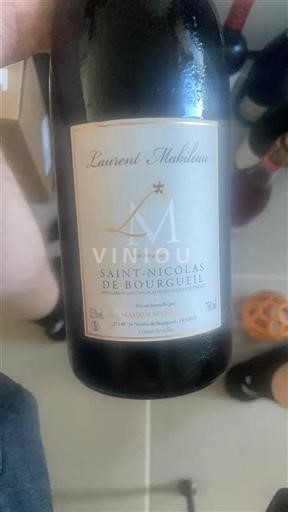 Valle della Loira Saint-Nicolas-De-Bourgueil Maison Mabileau 2020