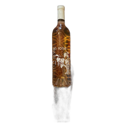 Valle del Ródano Côtes del Ródano Domaine La Pellegrine 2022
