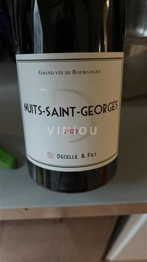 Bourgogne Nuits-saint-georges Decelle & Fils 2023