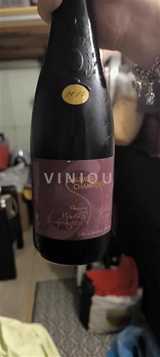 Loire Valley Saumur-Champigny Domaine Des Hauts Troglodytes 2014