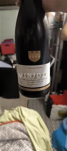Bourgogne Vignerons de Buxy Buissonnier 2008
