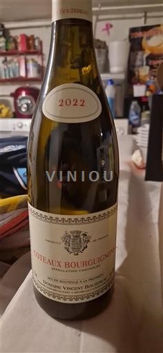 Borgogna Coteaux borgognoni Domaine Vincent Bouzereau 2022