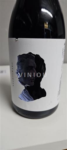 Vin Rouge sec Negroamaro Teanum 2021 Italie Pouilles