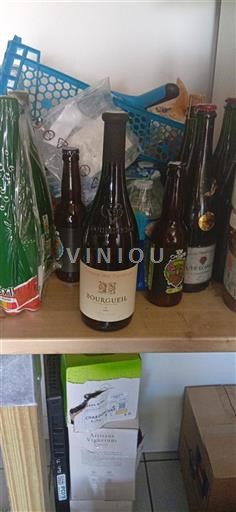 Vallée de la Loire Bourgueil Domaine Des Fontenys Vieilles Vignes 2021