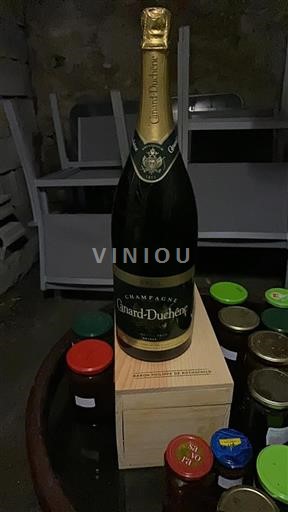 Champagne Canard-Duchêne Ikke årgangsbestemt