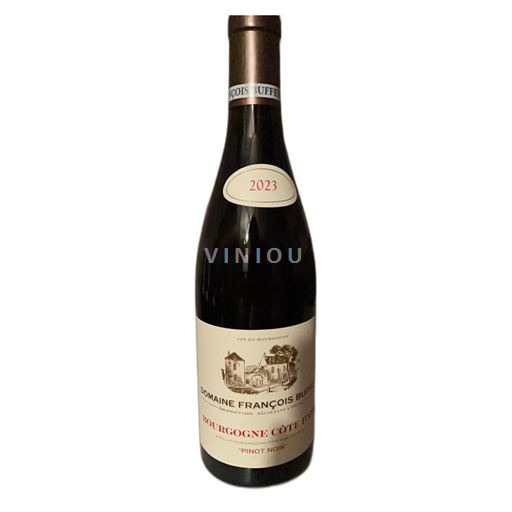 Bourgogne Bourgogne Côte d'Or Domaine François Buffet 2023