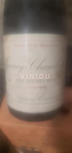Borgogna Gevrey-Chambertin Domaine Tortochot Les Jeunes Rois 1999