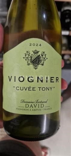 Loire-dalen Wien Domaine Bertrand David Tony 2024