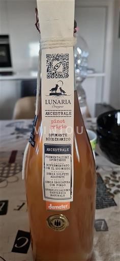 Abruzzo Non specificato Lunaria Ancestrale 2024