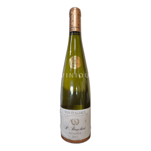 Alsace Sylvaner P. Bruckert Médaille d'or 2024