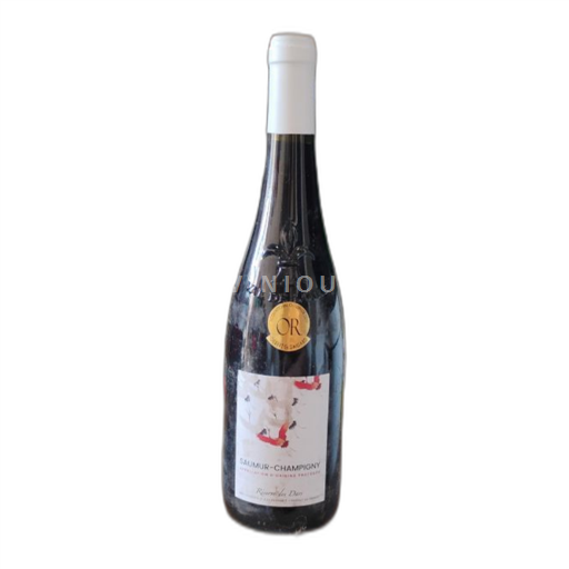 Loire Valley Saumur-Champigny Réserve des Dars 2020 Non-Vintage