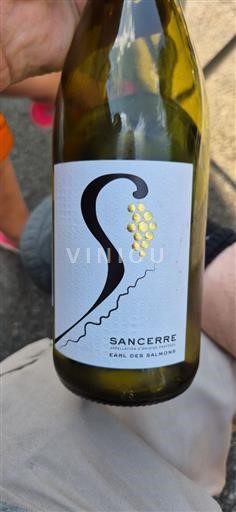 Vin Blanc sec EARL des Salmons 2023 France Vallée de la Loire Sancerre