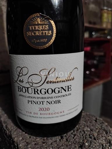 Burgundy Vignerons des Terres Secrètes Les Sentinelles 2020