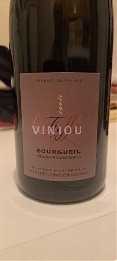 Valle del Loira Bourgueil Estelle et Rodolphe Cognard Les Tuffes 2019