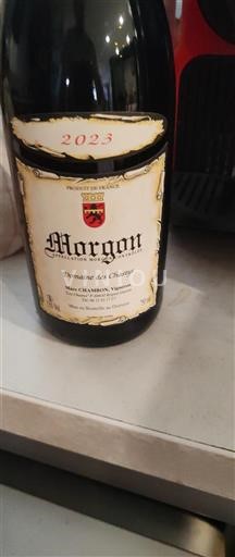 Beaujolais Morgon Domaine Des Chastys 2023