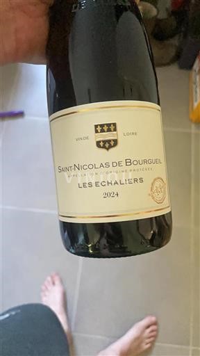 Valle della Loira Saint-Nicolas-De-Bourgueil Les Echaliers 2024