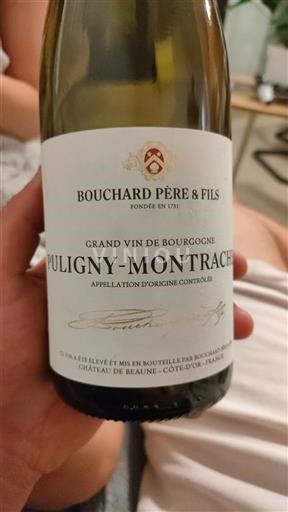 Burgundsko Puligny-Montrachet Bouchard Père & Fils 2017