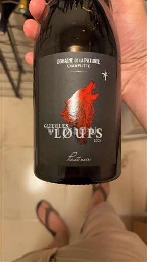 Jura Ni doloceno Domaine La Pâturie Gueules de Loups 2021