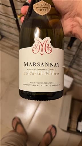 Burgundsko Marsannay Château Marsannay Les Champs Perdrix 2022