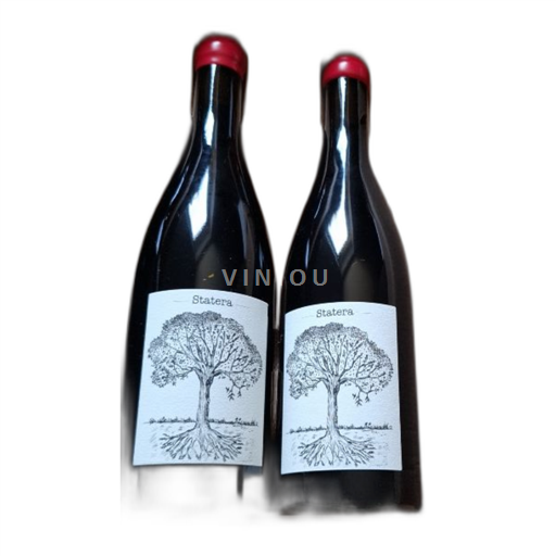 Vin Rouge sec Stratera Domaine Bellevue Jérôme Bretaudeau 2022 France Vallée de la Loire biodynamie