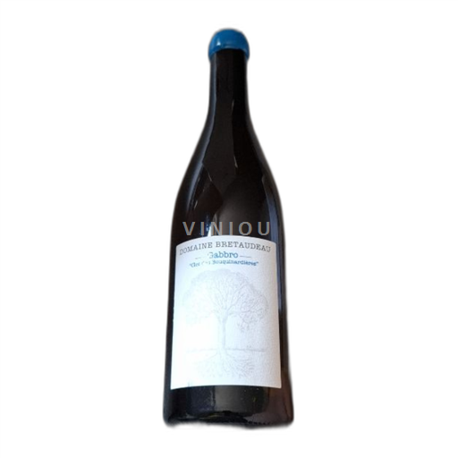 Valle del Loira Domaine Bellevue Jérôme Bretaudeau Gabbro 2022